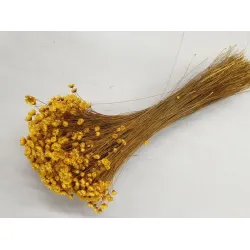 GLIXIA JAUNE +/-100GR