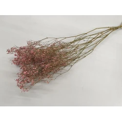 GYPSOPHILA ROZE 5ST