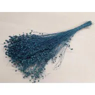 LINUM (VLAS) PARISIAN BLUE +/-100GR