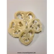 TRANCHES DE LUFFA BLANCHI 20PCS