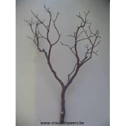 MANZANITATAK 36" NATUREL