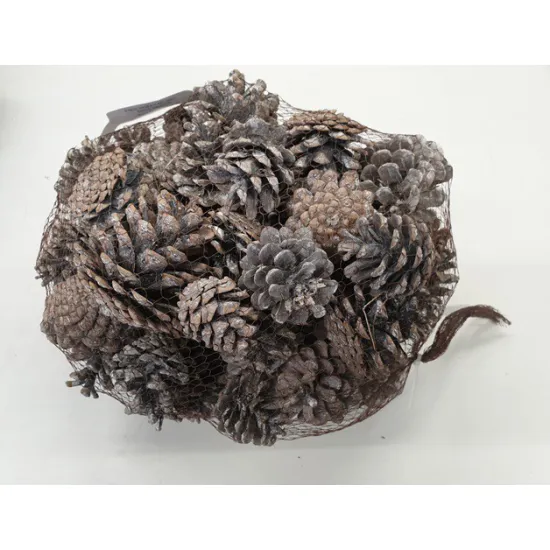 OOSTENRIJKER (PINUS NIGRA) WHITE WASH +/1KG