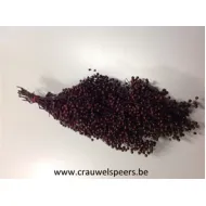 PEPPERBERRY BORDEAUX SMALL BOPP/kraft emballage hobby