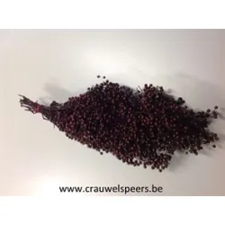 PEPPERBERRY BORDEAUX SMALL BOPP/kraft hobbyverpakking