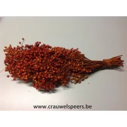 PEPPERBERRY COGNAC SMALL BOPP/kraft hobbyverpakking