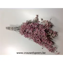 PEPPERBERRY FROSTED WHITE SMALL BOPP/kraft hobbyverpakking