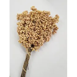 PEPPERBERRY GEEL SMALL BOPP/kraft hobbyverpakking