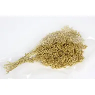 PEPPERBERRY OR SMALL BOPP/kraft emballage hobby