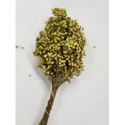 PEPPERBERRY VERT CLAIR