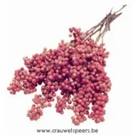 PEPPERBERRY NATURAL SMALL BOPP/kraft hobbyverpakking