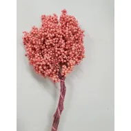 PEPPERBERRY ROSE SMALL BOPP/kraft emballage hobby