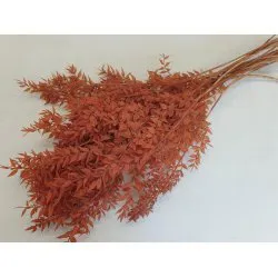 RUSCUS MARRON +/-500GR