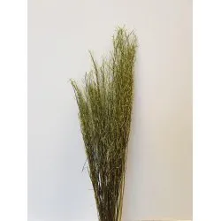 SARASH BUNCH VERT CLAIR +/-110CM +/-100GR