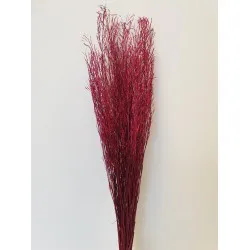 SARASH BUNCH ROUGE +/-110CM +/-100GR