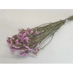 STATICE SINUATA LIGHT PINK NATURAL BOPP/kraft Small packaging