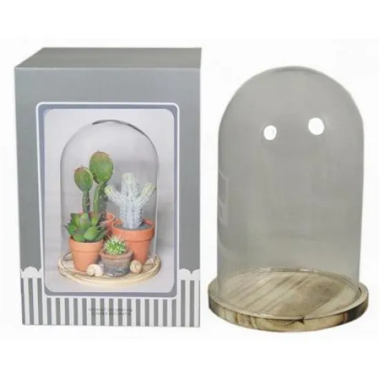 BELL JAR ON WOODEN BASE D15/17.5 H24/25CM