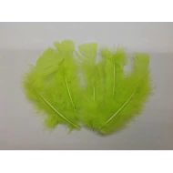 PLUMES FLATS LIME GREEN +/-10GR