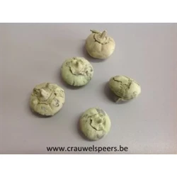 WILD APPLE MINI RUW MUNT +/-100GR