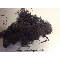 MOUSSE D'ISLANDE STABILISEE NOIR +/-10KG