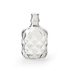 BOTTLE DOTTY H19 D11 CLEAR