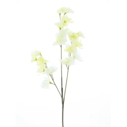 SWEET PEA SPRAY CREAM 57CM